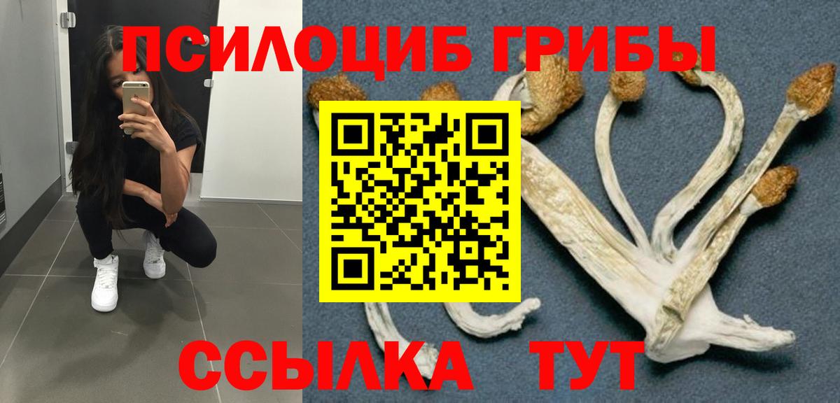 Псилоцибиновые грибы ЛСД Коммунар